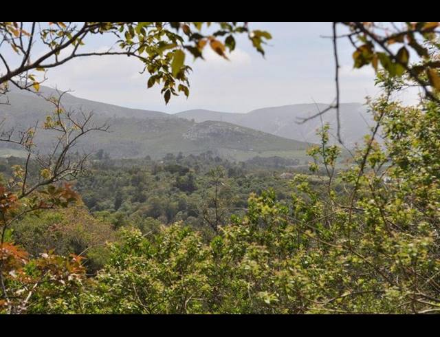 LAND FOR SALE IN WILDERNESS HEIGHTS